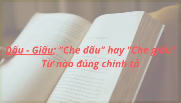 Trong tiếng Việt có nhiều cụm từ gây nhầm lẫn do cách phát âm giống nhau