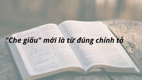 Từ “che giấu” là từ có nghĩa và có mặt trong từ điển tiếng Việt