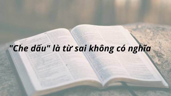 “Che dấu” là từ sai không có ý nghĩa trong tiếng Việt